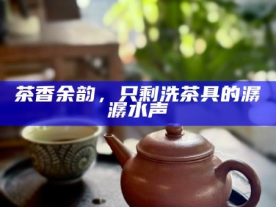 茶香余韵，只剩洗茶具的潺潺水声