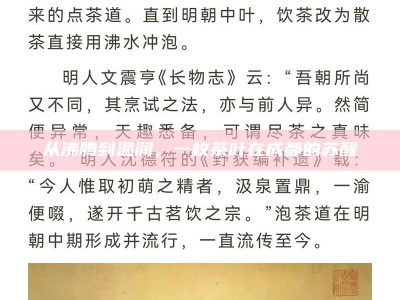 从沸腾到温润，一枚茶叶在成都的苏醒