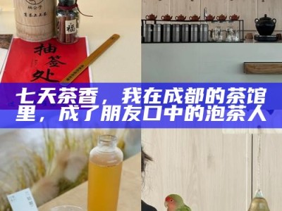 七天茶香，我在成都的茶馆里，成了朋友口中的泡茶人