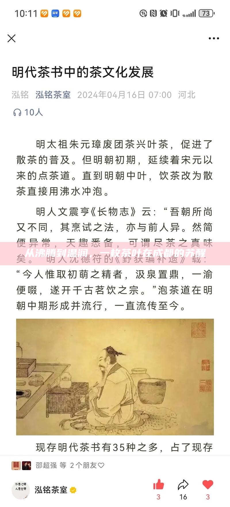 从沸腾到温润，一枚茶叶在成都的苏醒