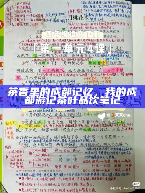 茶香里的成都记忆，我的成都游记茶叶品饮笔记