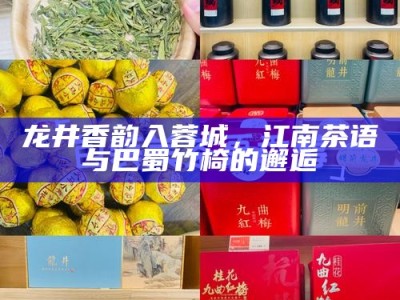 龙井香韵入蓉城，江南茶语与巴蜀竹椅的邂逅
