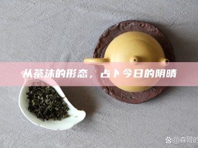 从茶沫的形态，占卜今日的阴晴