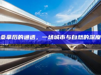 成都桑拿后的通透，一场城市与自然的深度对话