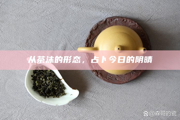 从茶沫的形态，占卜今日的阴晴