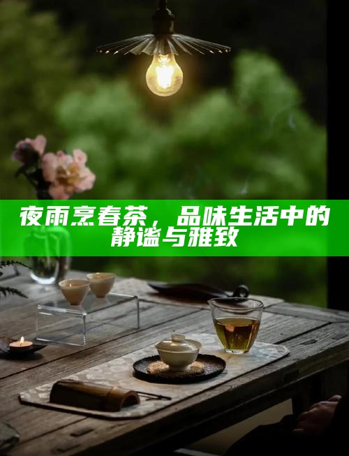 夜雨烹春茶，品味生活中的静谧与雅致