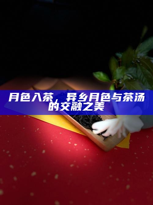 月色入茶，异乡月色与茶汤的交融之美