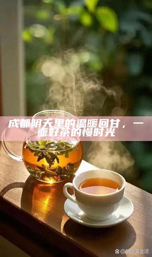 成都阴天里的温暖回甘，一壶好茶的慢时光